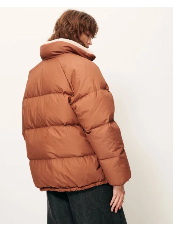 PLUMIFERO LIVINGSTONE