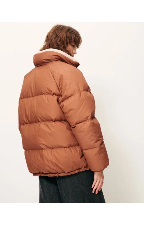 PLUMIFERO LIVINGSTONE