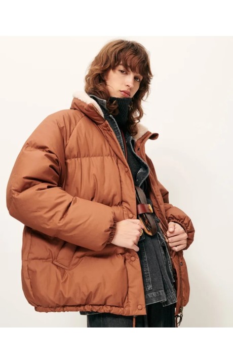 PLUMIFERO LIVINGSTONE