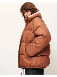 PLUMIFERO LIVINGSTONE