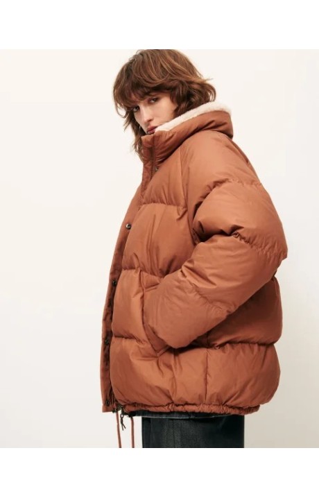 PLUMIFERO LIVINGSTONE